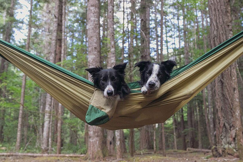 210T Nylon Parachute Hammock Light Weight Outdoor Camping Portable Single Hammock with hammock ropes and hammock carabiners