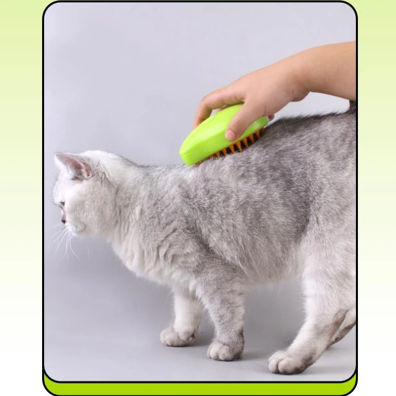 Steam Pet Brush